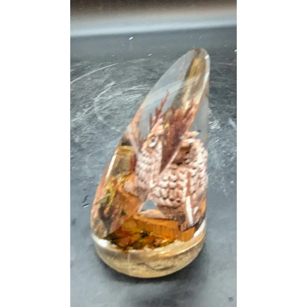 Vintage Lucite Owl Diorama Woodland Scene Paperweight 4